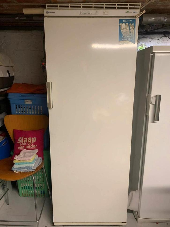 grote staande diepvriezer (kastmodel) met laden - Bauknecht, Electroménager, Congélateurs, Utilisé, Autoportant, Congélateur, Congélateur