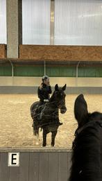 Prachtige merrie zoek een 5️ huisje !, Dieren en Toebehoren