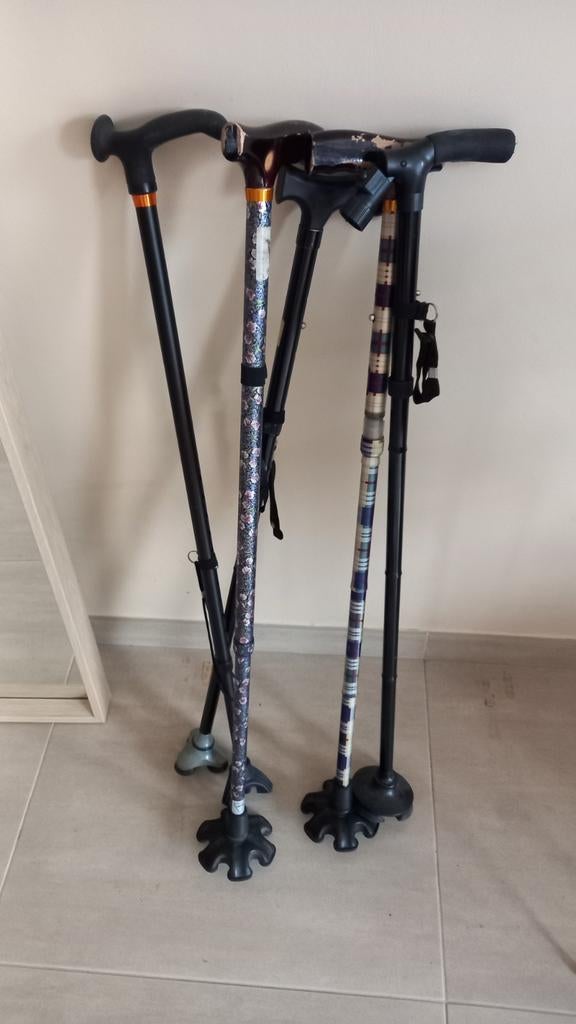 Divers canne (le lot) quadripode..., Enlèvement