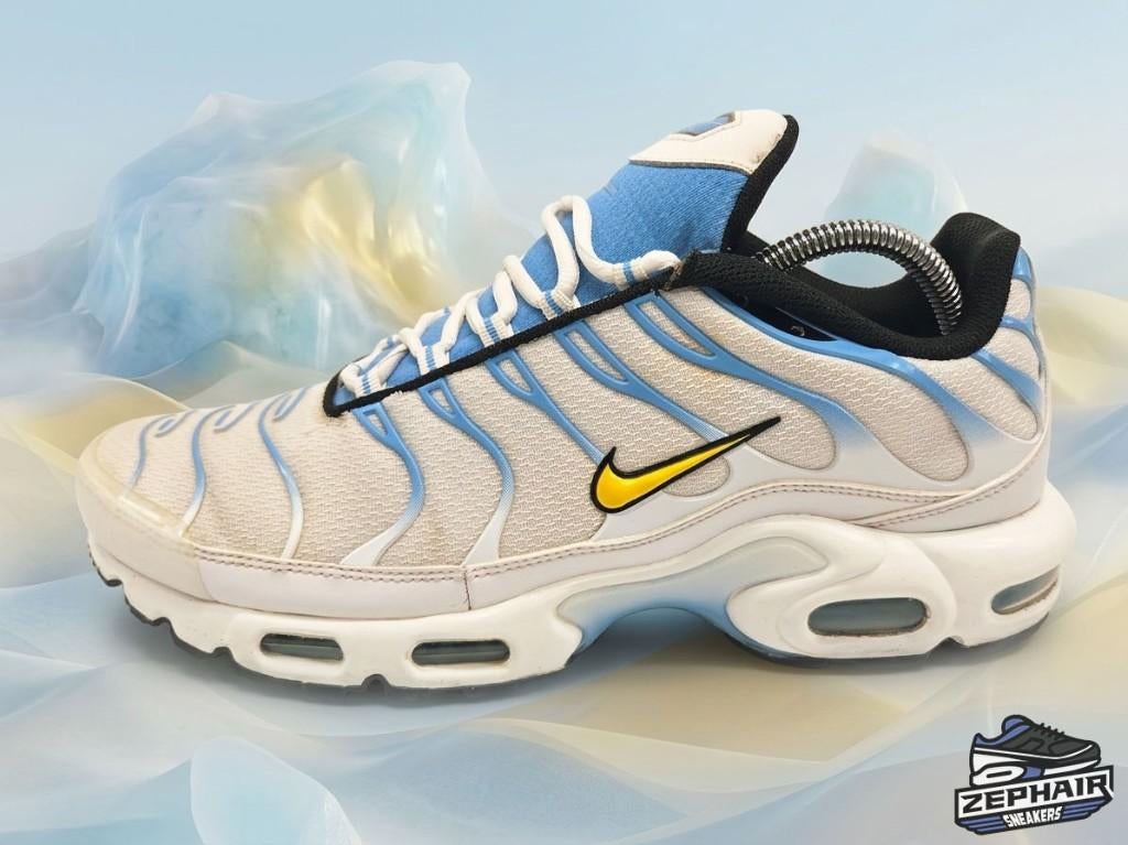 Nike Air Max Plus TN 'Argentina' EU44.5 2022, Vêtements | Hommes, Chaussures, Enlèvement ou Envoi, Nike, Porté, Blanc