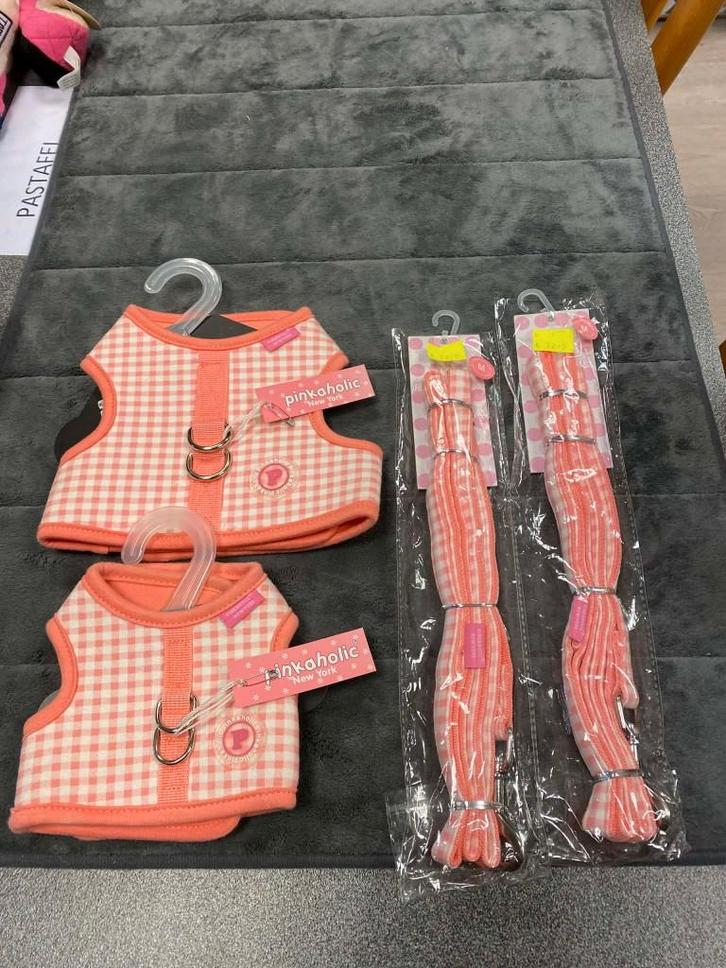 Harnas + leiband van Pinkaholic aan outletprijs., Dieren en Toebehoren, Honden-accessoires, Nieuw, Ophalen of Verzenden