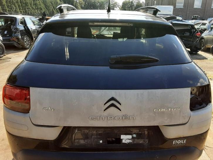 HAYON ARRIÈRE / MALLE Citroën C4 Cactus (0B / 0P), Autos : Pièces & Accessoires, Carrosserie & Tôlerie, Haillon arrière, Citroën