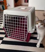 Caisse de transport pour chat ou petit chien, Animaux & Accessoires, Enlèvement, Comme neuf