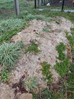 Gratis grond af te halen, Ophalen