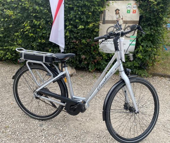 Flanders fiets, Fietsen en Brommers, Elektrische fietsen, Zo goed als nieuw, Overige merken, Ophalen