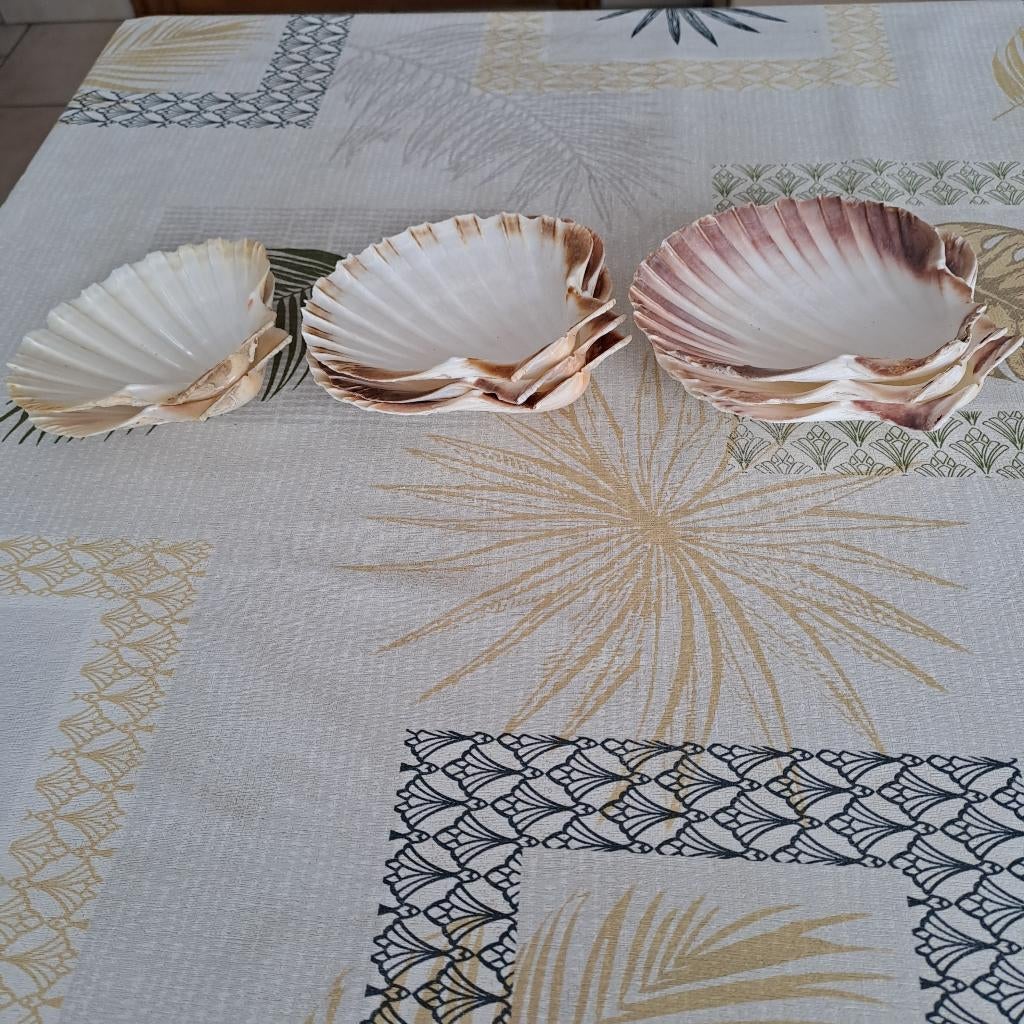 8  coquilles St Jacques, Maison & Meubles, Enlèvement ou Envoi, Comme neuf, Récipient(s)