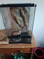 Terrarium pour petit reptile, Animaux & Accessoires, Enlèvement ou Envoi