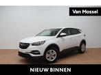 Opel Grandland X 1.2 Edition +gps+camera+park pilot, Autos, Opel, 1350 kg, Achat, Boîte manuelle, https://public.car-pass.be/vhr/1263455b-5854-4be8-9c20-0b8ff222bc82