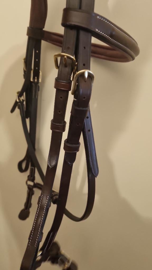 Trust hoofstel lage neusriem model barcelona, Ophalen, Zo goed als nieuw, Springen