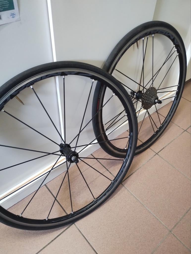 Wielen Campa shamal , Shimano body., Ophalen