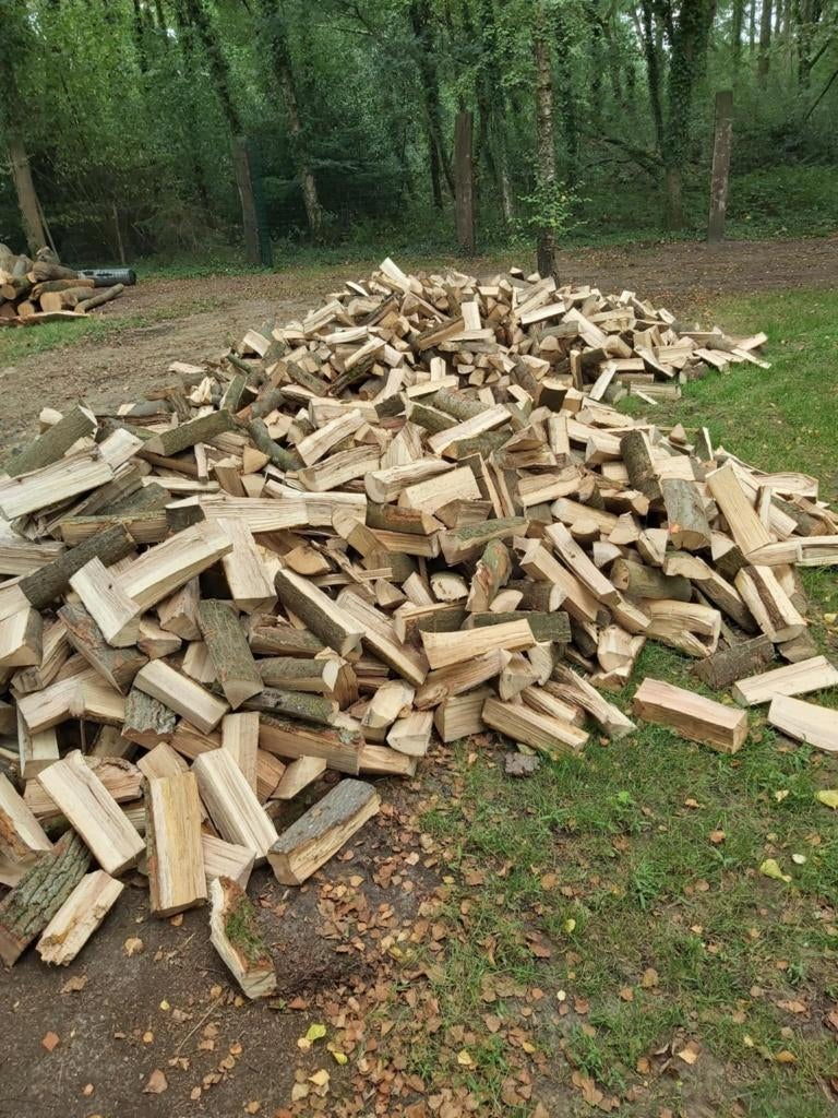 brandhout eik en beuk, Jardin & Terrasse, Bois de chauffage, Bûches, Hêtre, 6 m³ ou plus, Enlèvement