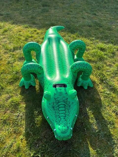 Opblaaskrokodil, Kinderen en Baby's, Speelgoed | Buiten | Opblaasfiguren, Ophalen of Verzenden, Zo goed als nieuw