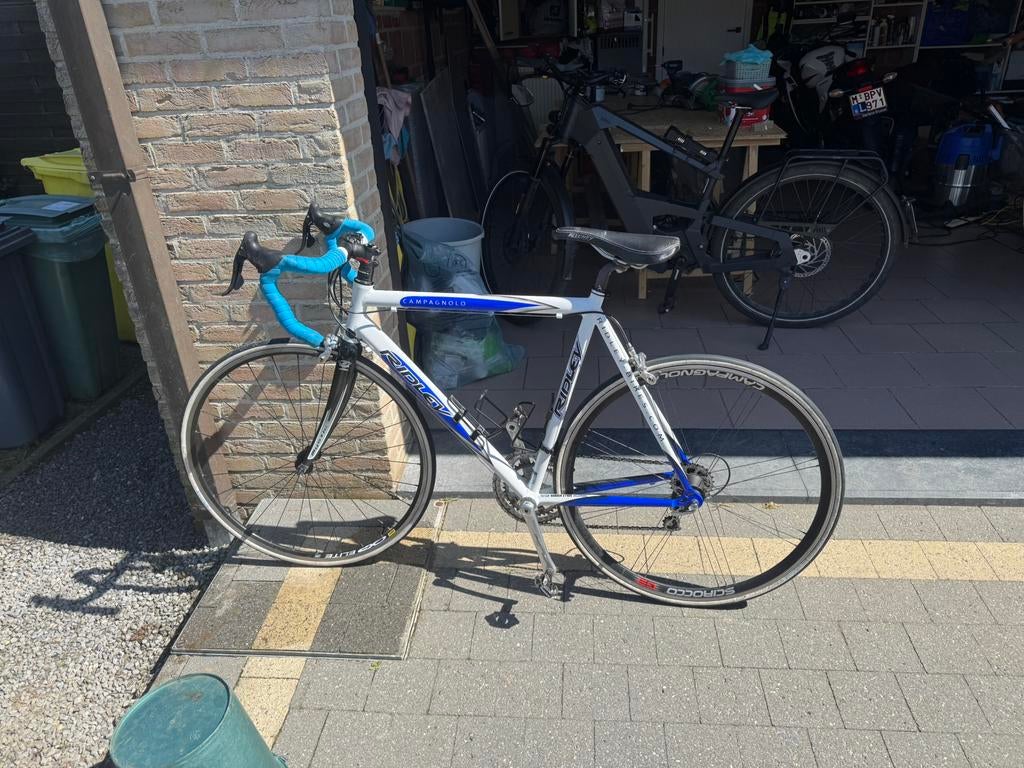 Koersfiets ridley, Gebruikt, Aluminium, 15 tot 20 versnellingen, 53 tot 57 cm
