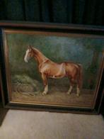 Prachtig schilderij van het prachtige paard Eros, Antiek en Kunst, Ophalen of Verzenden