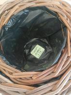 2 mooie bloemen potten, Tuin en Terras, Ophalen of Verzenden, Nieuw