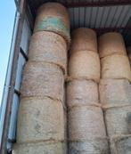 foin sec de l'année, Zakelijke goederen, Landbouw | Veevoer, Ophalen of Verzenden