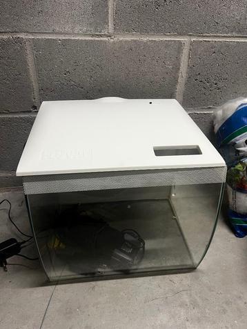 Aquarium 30x30cm avec accessoires  beschikbaar voor biedingen
