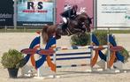 25 chevaux/ponys/alpagas à vendre, Animaux & Accessoires
