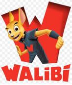Walibi - Ticket, Tickets & Billets, Ticket ou Carte d'accès, Une personne