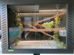 PVC terrarium, Dieren en Toebehoren, Ophalen, Zo goed als nieuw, Verlichting