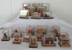 antiek botanische modellen van fruit in glazen box vr school, Antiek en Kunst, Verzenden