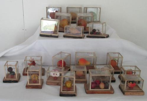 antiek botanische modellen van fruit in glazen box vr school, Antiek en Kunst, Curiosa en Brocante, Verzenden