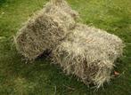Kleine balen hooi, Dieren en Toebehoren, Ophalen