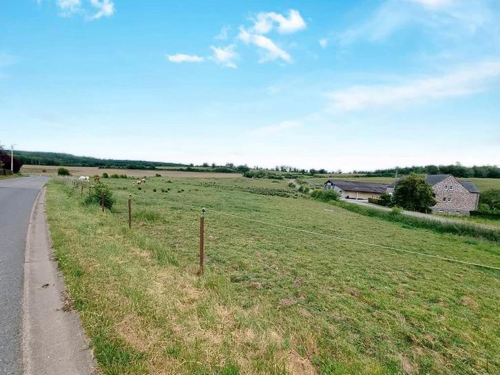 terrain à bâtir de 24,27 ares à Romerée, Immo, Gronden en Bouwgronden, 1500 m² of meer