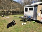 Mobilhome Autostar 395 - 1991, Caravans en Kamperen, Overige merken, Diesel, Particulier, 5 tot 6 meter