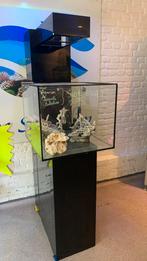 Aquarium, Enlèvement, Utilisé, Aquarium vide