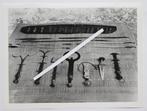 oude foto uit CONGO 18 x 24 cm  congopresse, Verzamelen, Gebruikt, Foto, Ophalen of Verzenden, 1940 tot 1960