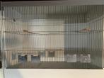 Kunststof Kweek kooien en onderkast van het merk Prima, Animaux & Accessoires, Oiseaux | Cages & Volières, Enlèvement, Comme neuf
