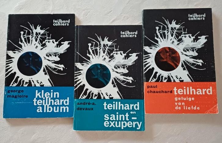 Cahiers Teilhard de Chardin, Boeken, Filosofie, Gelezen, Ophalen of Verzenden