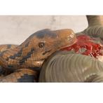 Dîner Pythons — serpent, largeur 123 cm, Enlèvement, Neuf