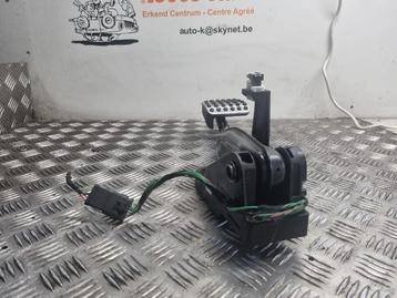 GASPEDAAL Mercedes-Benz A-Klasse AMG (W176) (a2462900019) beschikbaar voor biedingen