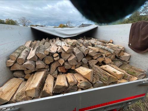 Brandhout bij levering!, Tuin en Terras, Brandhout, Blokken, Beukenhout, Ophalen