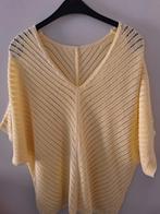 Nieuwe trui large, Kleding | Dames, T-shirts, Ophalen of Verzenden, Nieuw