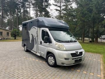 Peugeot Boxer Horse Truck disponible aux enchères