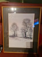 Houten kader met glas,  herfst, Milovan Svastec, Antiek en Kunst, Kunst | Tekeningen en Fotografie, Ophalen of Verzenden