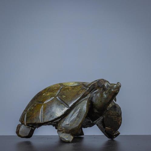 Schildpad van serpetine steen, Dieren en Toebehoren, Reptielen en Amfibieën, Schildpad, 0 tot 2 jaar