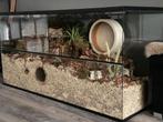 Goudhamster Terrarium - Luxe Hamsterkooi met Schuifruiten, Minder dan 60 cm, 110 cm of meer, Nieuw, Ophalen of Verzenden