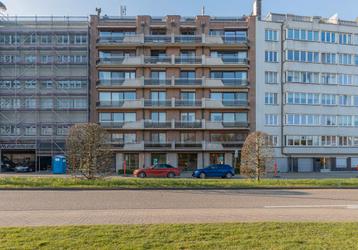 Commercieel te koop in Dendermonde beschikbaar voor biedingen