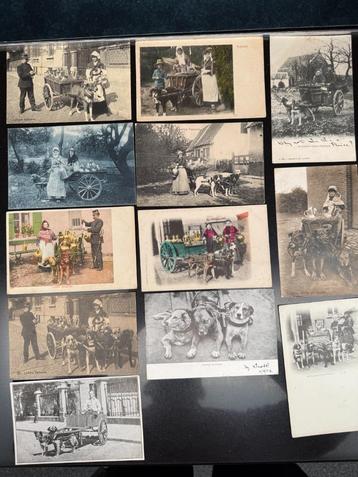 19 postkaarten, Vlaamse Melkmeisjes met Hondenkarren beschikbaar voor biedingen