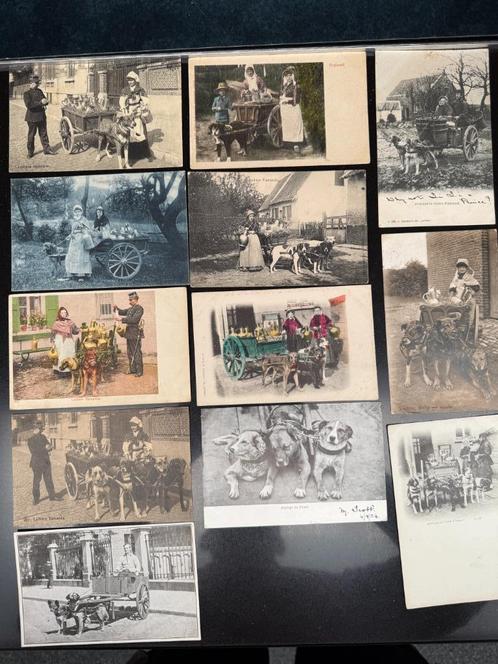 19 postkaarten, Vlaamse Melkmeisjes met Hondenkarren, Verzamelen, Postkaarten | België, Voor 1920, Ophalen of Verzenden