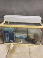 Aquarium/visbak, Dieren en Toebehoren, Ophalen, Gebruikt, Leeg aquarium