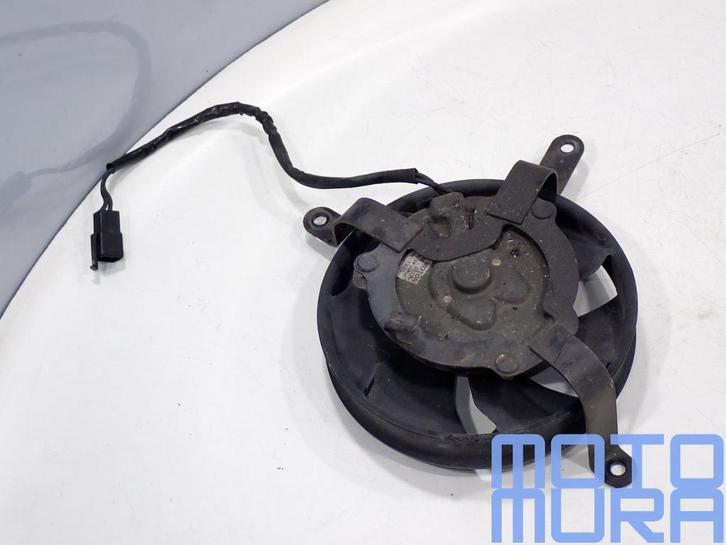 koelvin voor Honda CB 900 F 2002 - 2007 CB900 CB900F hornet, Motoren, Onderdelen | Honda, Gebruikt, Ophalen of Verzenden