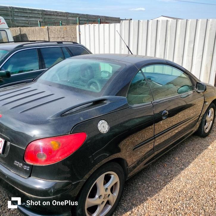 Peugeot 206, Auto's, Peugeot, Particulier, Elektrische ramen, Lederen bekleding, Lichtmetalen velgen, Open dak, Radio, Sportstoelen