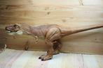 Jurassic World Colossal T-Rex, Ophalen, Gebruikt