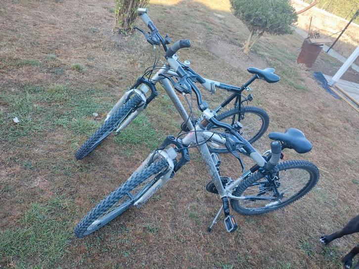 Seizoensverhuur door particulier, Fietsen en Brommers, Fietsen | Dames | Sportfietsen en Toerfietsen, Zo goed als nieuw, Overige merken