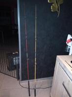 2 hengels voor forel